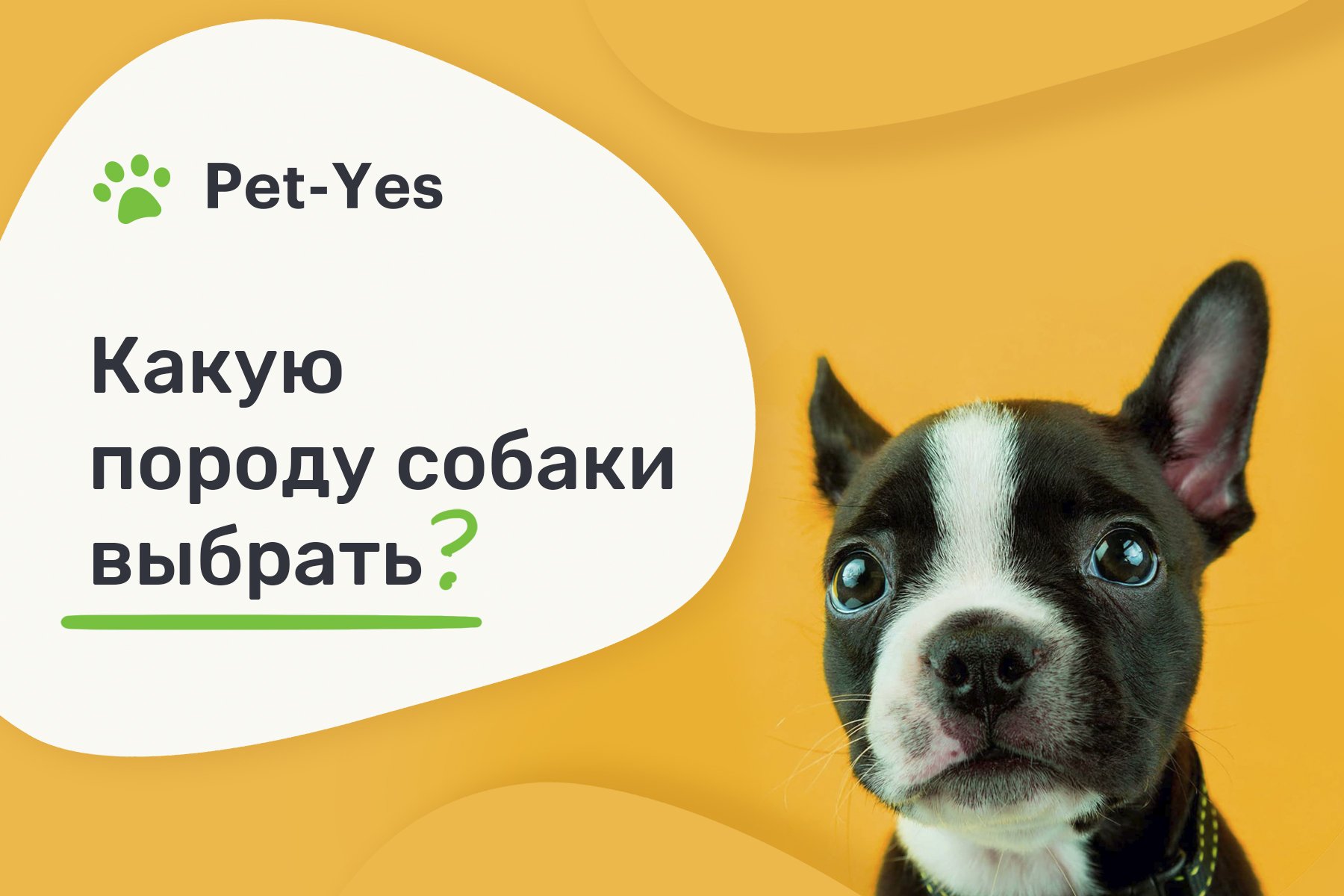 Какую породу собаки выбрать? | Pet-Yes