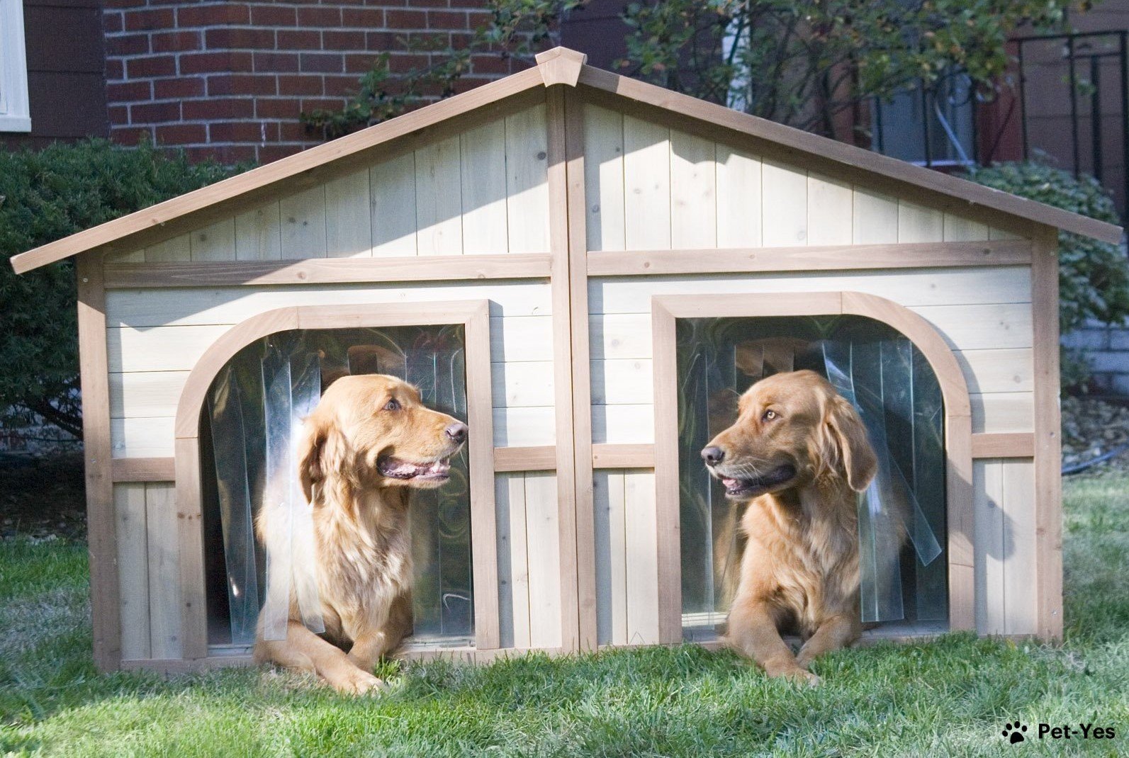 Фотография будки для двух собак