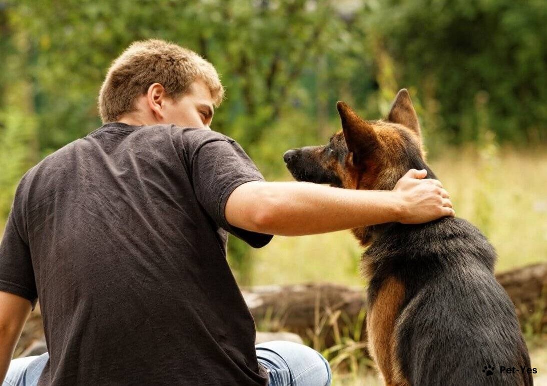 Собака и хозяин