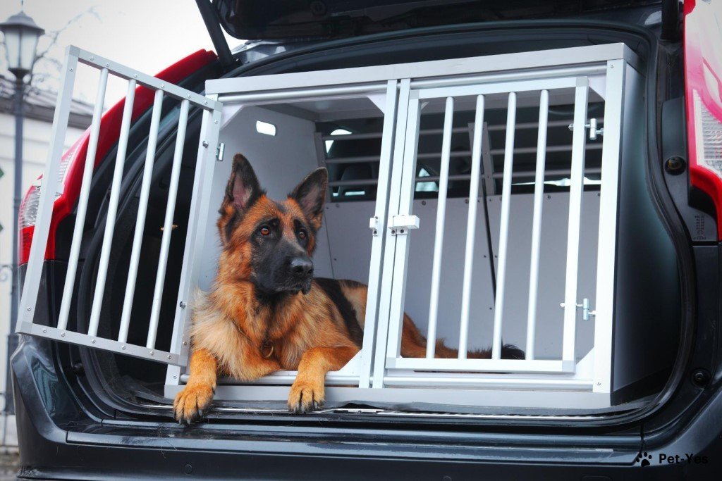 Собака в автобоксе