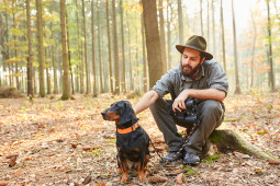 Найти Австрийский гладкошерстный бракк на Бирже домашних животных | Pet Yes