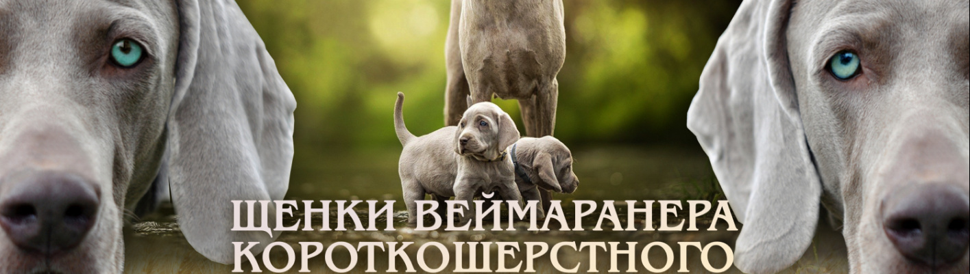 Обложка профиля пользователя
