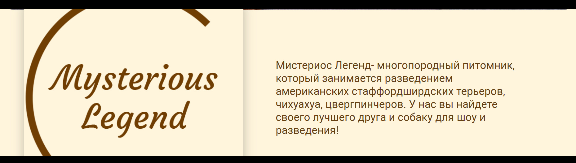 Обложка профиля пользователя