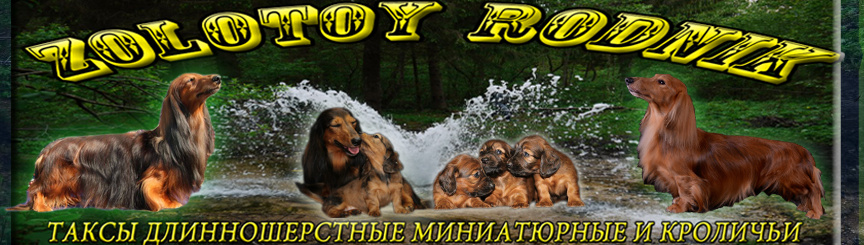 Обложка профиля пользователя