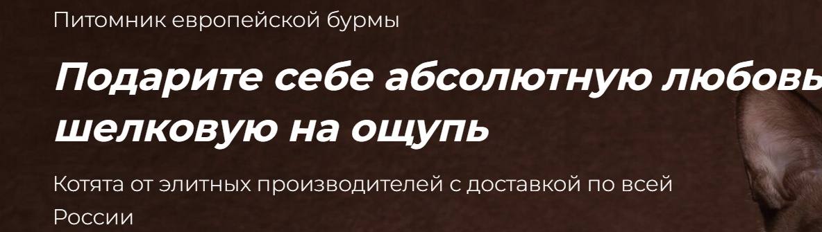 Обложка профиля пользователя