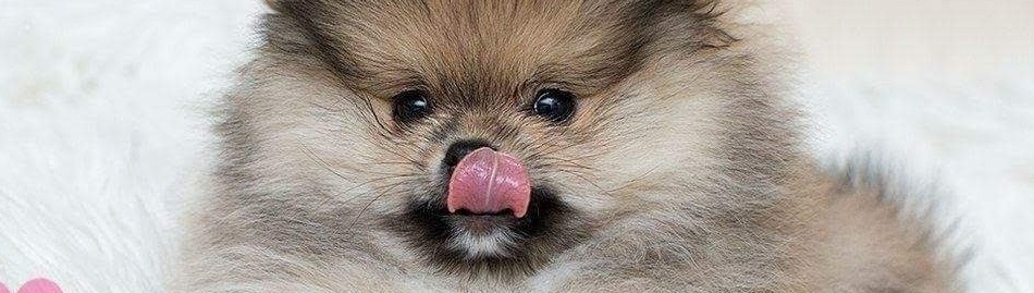 Обложка профиля пользователя