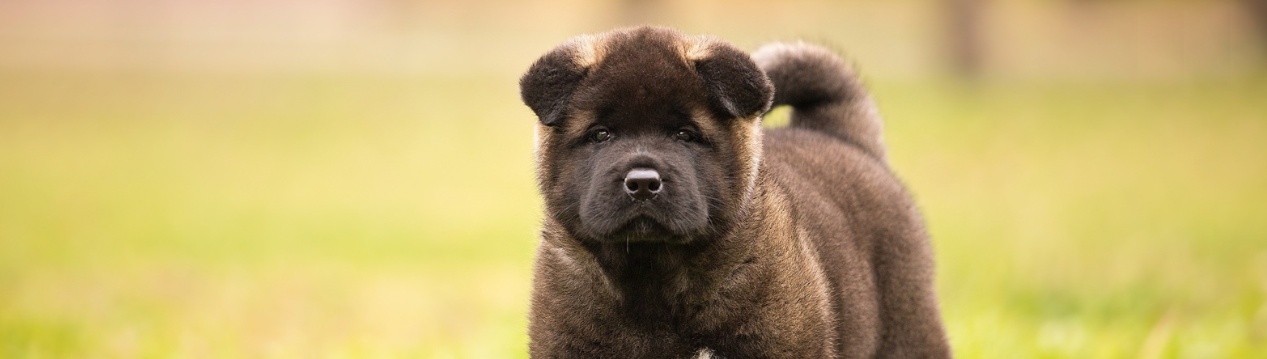 Обложка профиля пользователя