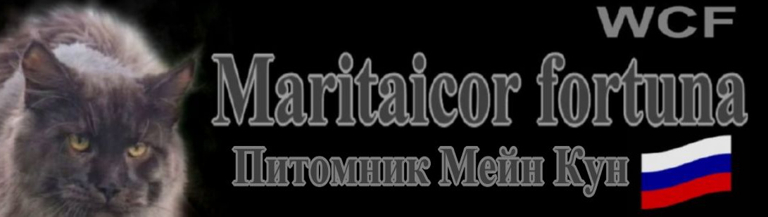 Обложка профиля пользователя
