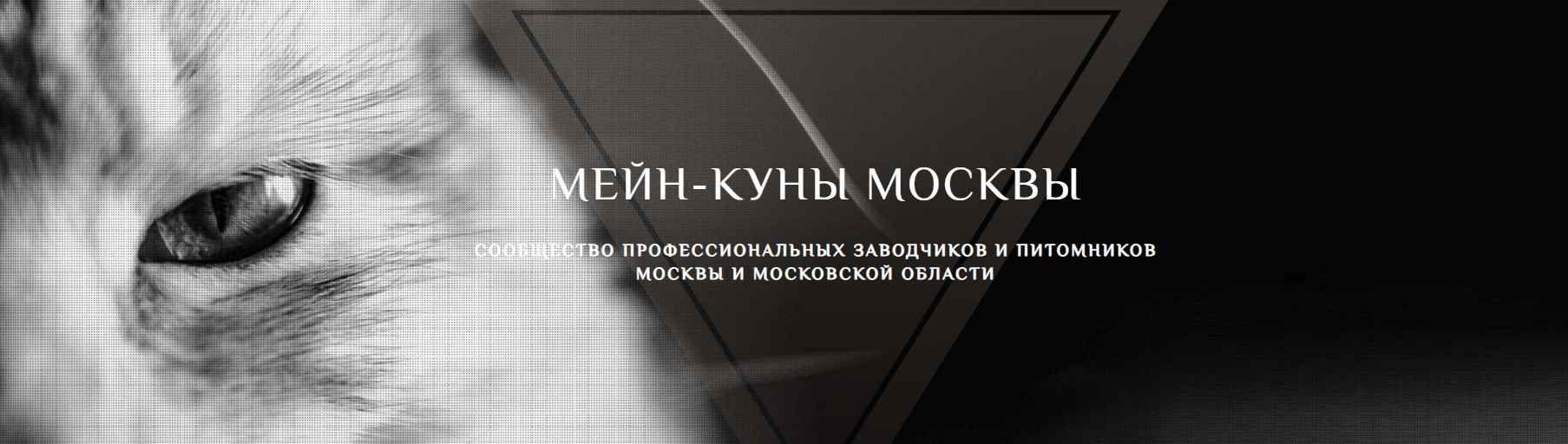 Обложка профиля пользователя