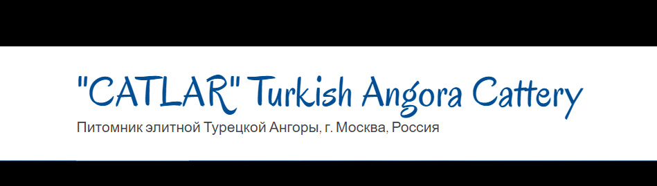 Обложка профиля пользователя