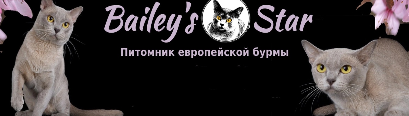 Обложка профиля пользователя