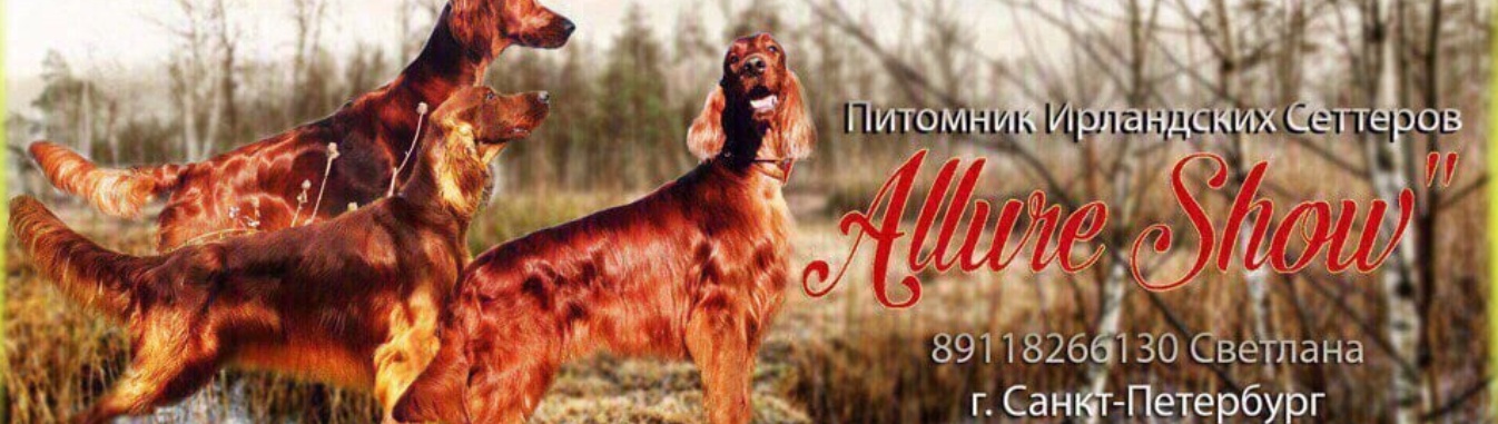 Обложка профиля пользователя