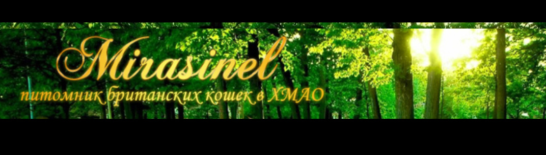 Обложка профиля пользователя
