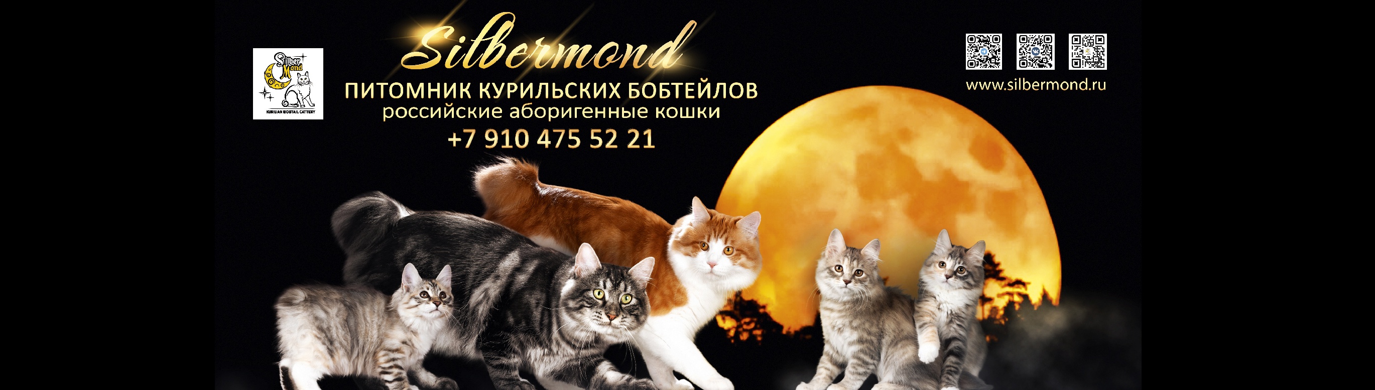 Обложка профиля пользователя