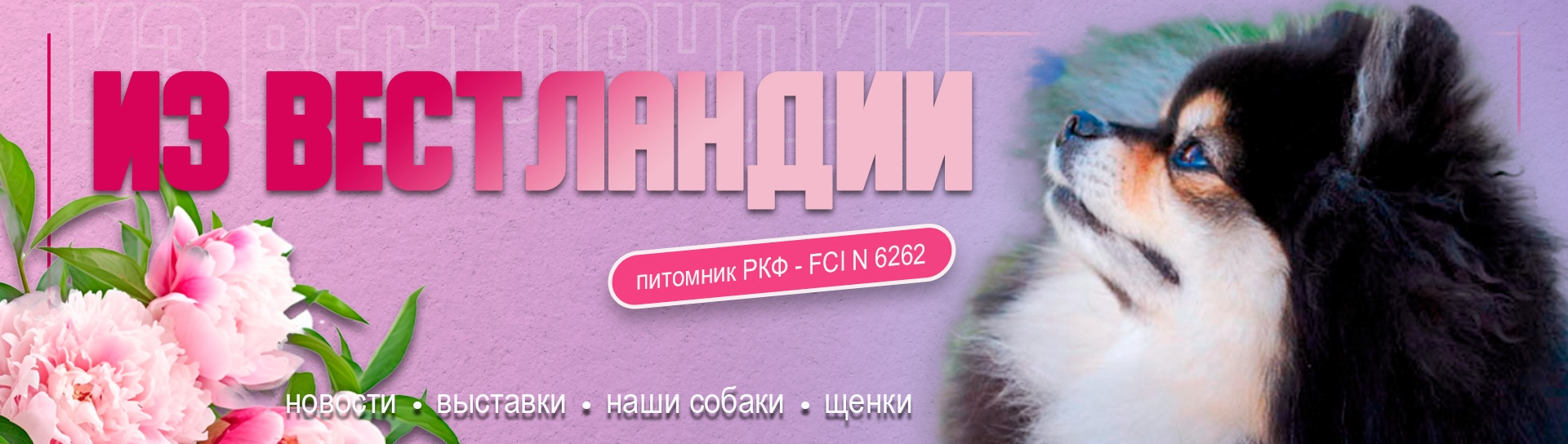 Обложка профиля пользователя
