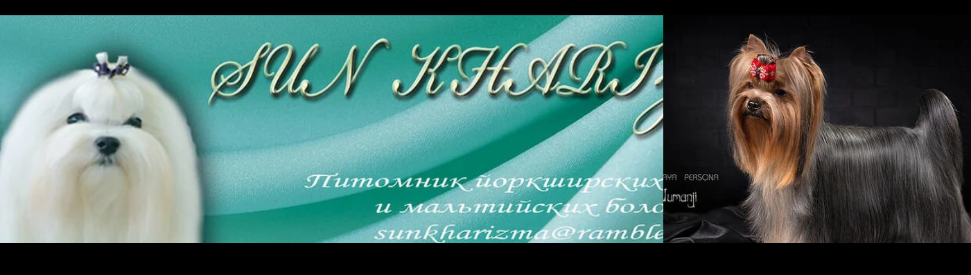 Обложка профиля пользователя