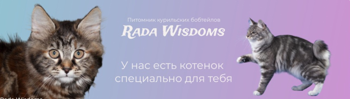 Обложка профиля пользователя