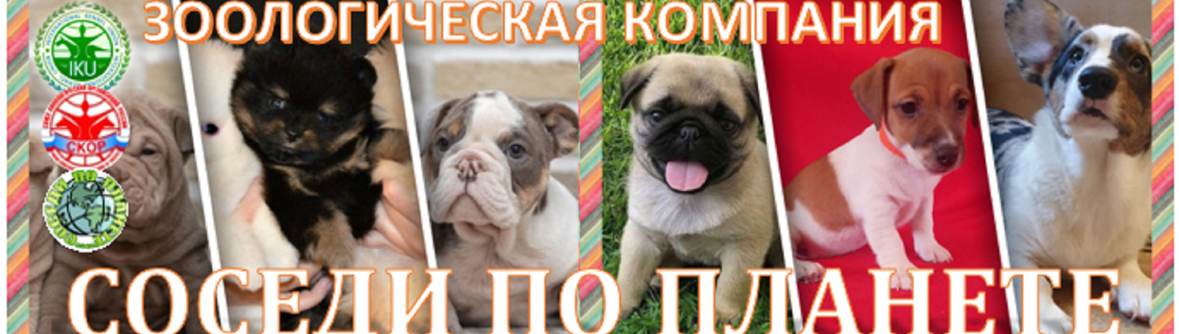 Обложка профиля пользователя